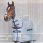 Bucas Buzz Off Fly Rug with Hood