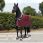 Bucas Show-Line Fleece Rug Burgundy
