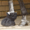 Busse Hoofbag