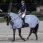 Bucas buzz off riding