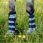 Horseware Newmarket Fly Boots