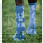 Horseware Fly Boots Set Heather Blue 