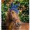 Horseware Signature Ear Net Navy