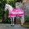 Horseware Fleece Cooler Newmarket Navy