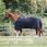 Dominick Outdoor Rug 2023 0GR