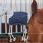 Dominick Horse Toy