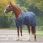 Dominick Stable Rug
