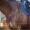 Dy'on Martingale New English
