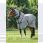 Equiline Fly Rug Lemonfly