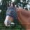 Equilibrium Fly Mask Midi