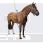 Equine legcooler baseplus 