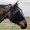 Kentucky fly mask without ears