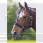 Shires Greenguard Halster