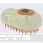 Hippotonic Steam Curry Comb 2.0