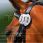 Equithème Competition Numbers Bridle