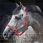 Horseware fieldsafe headcollar