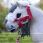 LeMieux Toy Pony Halsterset Christmas