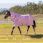 Lemieux Arika Turnout Rug 600D 0G Alpine