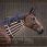Hippotonic Wooden Neck Cradle