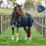 Weatherbeeta Turnout Medium/Lite ComFiTec Ultra Comfi