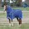 Weatherbeeta Turnout Medium/Lite ComFiTec Ultra Hardi