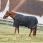 Kentucky Turnout Rug All Weather Waterproof Comfort