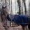 Kentucky Riding Rug Fleece