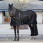 LeMieux Kudos ClimaCore Stable Rug with Neck 100g
