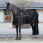 LeMieux Kudos ClimaCore Stable Rug with Neck 200g