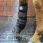Lemieux Procool Cold Water boots