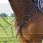 Lj leathers new pro breastplate