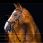 Horseware Micklem 2 Bridle Deluxe Competition
