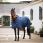 Horseware Optimo Rambo Stable Rug Medium