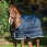 Horseware liner 300 gr pony
