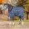 Rhino Staldeken Medium Blauw