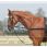 Busse side-reins rings-fixed