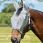 Weatherbeeta Fly Mask ComFiTec Hexi Shield Dual-grey-Cob