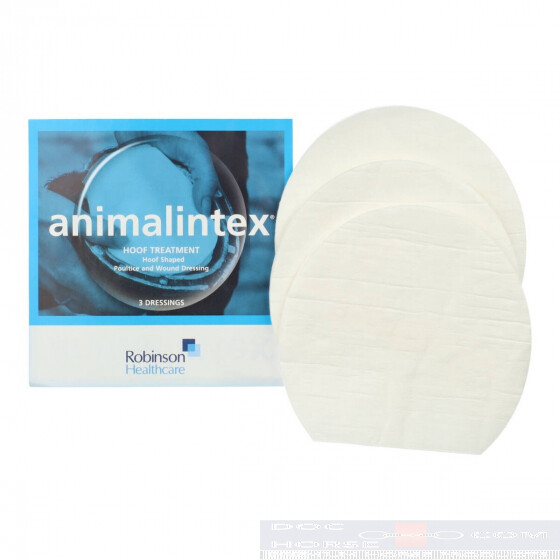 Animalintex Poultice Horse