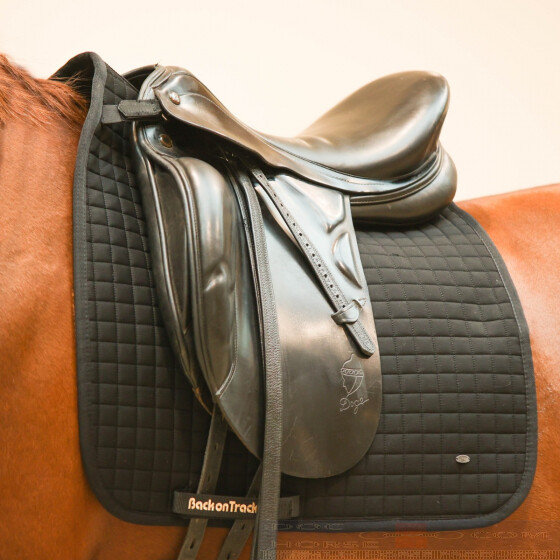 Back on Track Saddlepad Dressage No. II DocHorse