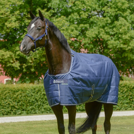 Bucas Quilt 50 G Silk Feel DocHorse