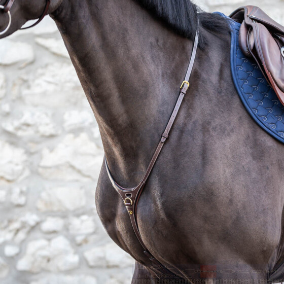 dyon martingale