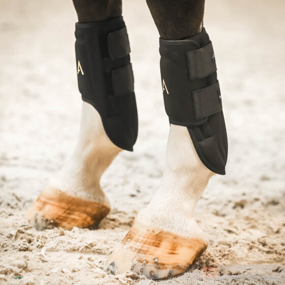 Horseware boots top