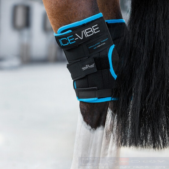 Hock boots sales