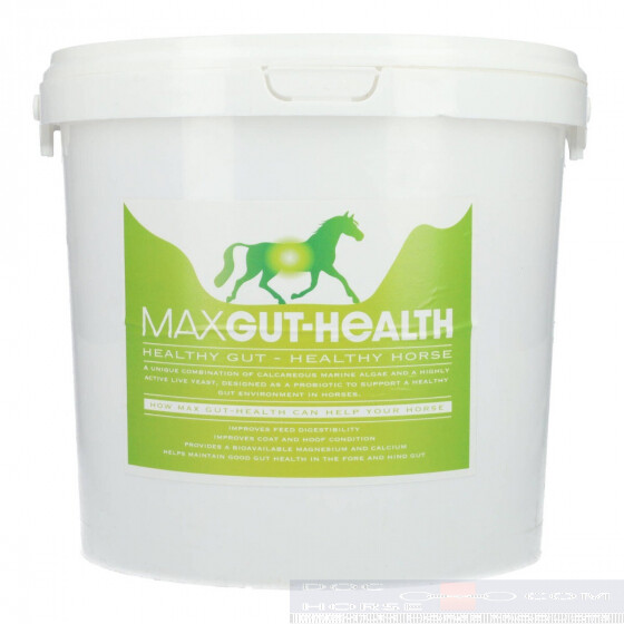 Max Gut Health DocHorse