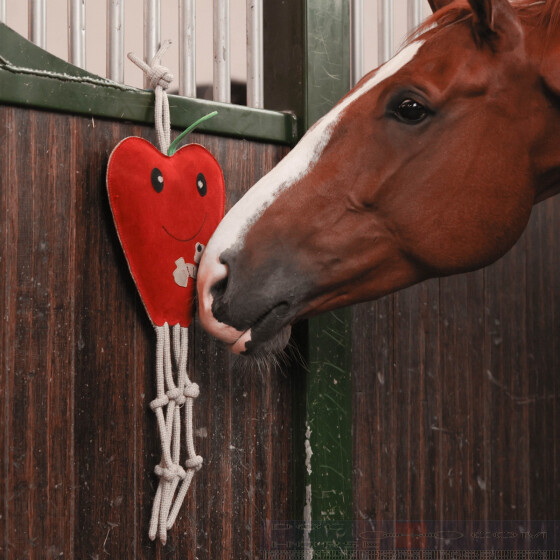 QHP Horse Toy Apple - DocHorse