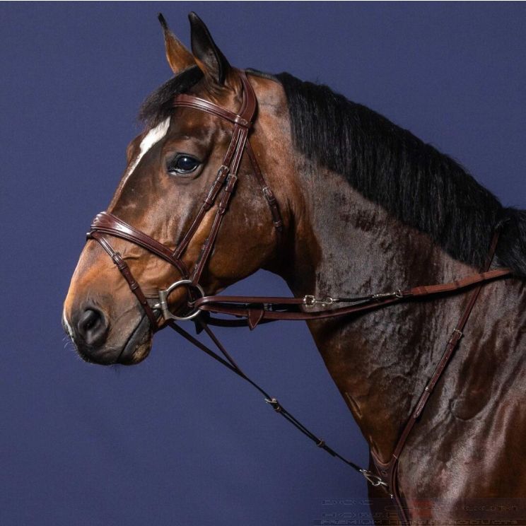 Dy'on Hulpteugel Howlett New English