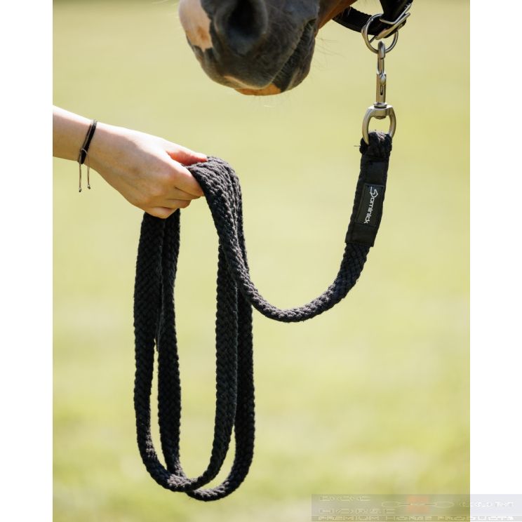 Dominick Halstertouw