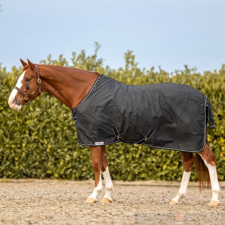 Dominick Regendeken Turnout Lite