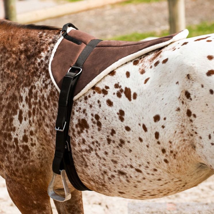 Norton Bareback Pad Soft Choco
