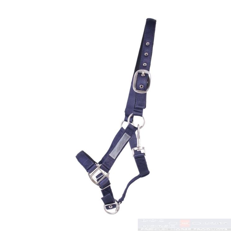 QHP Veiligheidshalster